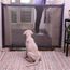 Garde De Chat De Chien De Compagnie Pour Animaux De Compagnie Filet En Acier Inoxydable En Nylon Pliable Portatif Net De Barriere Achat Vente Anti Fugue Cloture Garde De Chat
