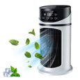 Climatiseur Portable 3 en 1 Ventilateur Brume Glacée Humidification 6 Vitesses Minuterie 6h Silencieux PIQUET D'ATTACHE