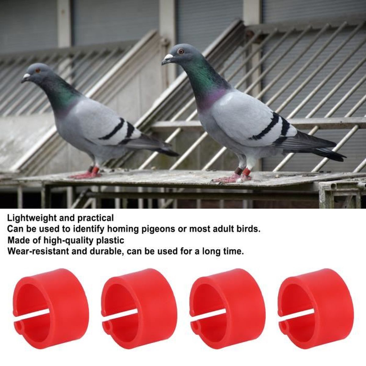 200 Anneaux De Patte En Plastique Rouge Pour Pigeons – Identification