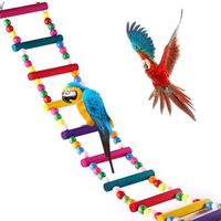 Jouets pour Oiseaux pour Perroquet, échelle, balançoire, Dressage Pont Arc-en-Ciel pour perroquets, perruches, Conures, cokatoo