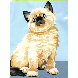 Kit Canevas Chat Cdiscount Kit Canevas Chat Cdiscount