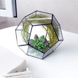 JARDINIÈRE - BAC A FLEUR VERYNICE-Pot de fleurs en verre forme géométrique 