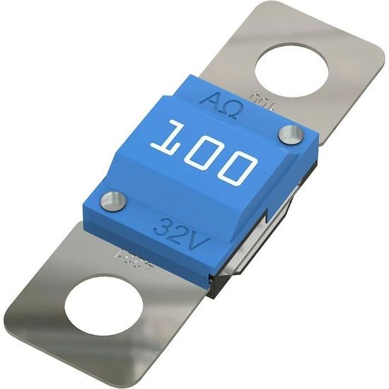 Lot De 5 Fusibles ANL 100A 32V DC - Protection Pour Systèmes Audio Et électriques Auto, Compatible 12V/24V - Idéal Voiture, Camion, Bateau