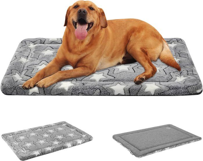 Panier Chien Réversible (Frais Et Chaud), Coussin Chien Moyenne Taille