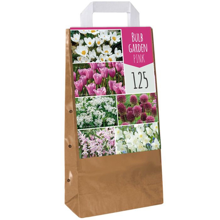 Tulipes Perroquet En Mélange - Bulbes à Grosses Fleurs Gaufrées