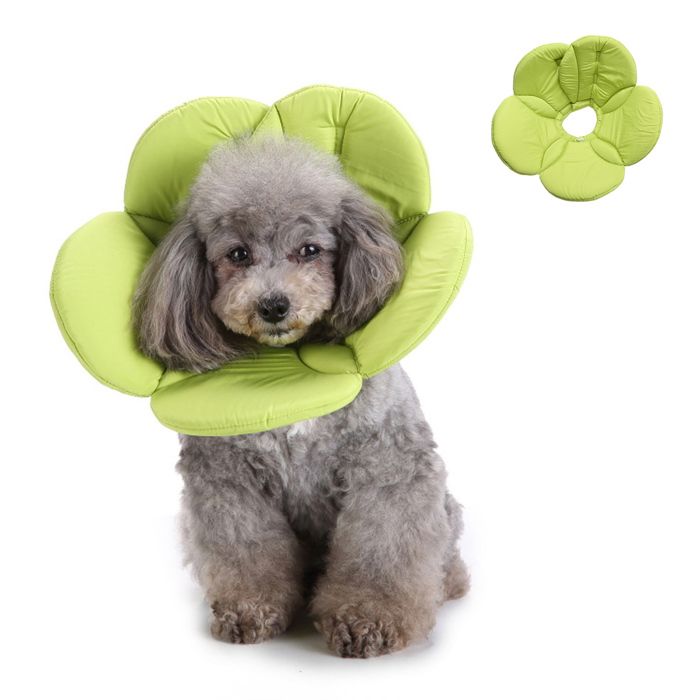 Meilleurs prix pour Collier de protection post-opératoire pour chien et chat (fleur verte)