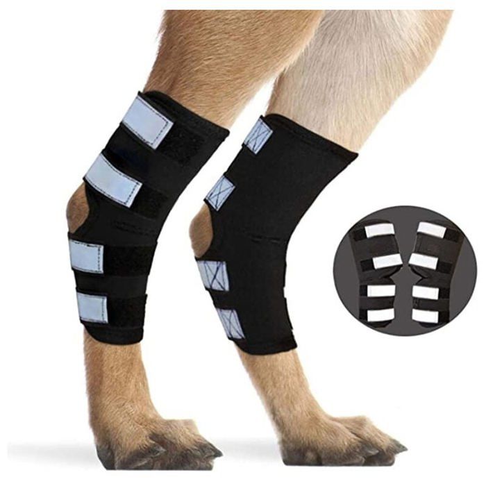Meilleurs prix pour Attelles Pattes Arrière Chien 1 Paire Support Articulation Sangles Réfléchissantes Protection Blessures Jarret