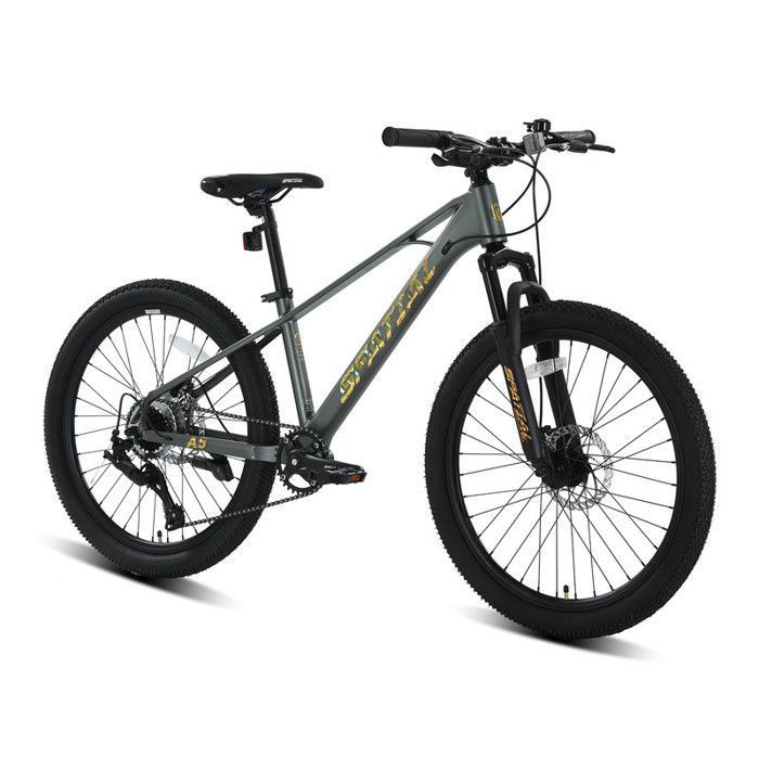 SPATIAL Vélo VTT 24 haut de gamme pour filles- garçons-hommes et femmes avec dérailleur 8 vitesses-Cadre en magnésium-Gris SPATIAL Vélo VTT 24 haut de gamme pour filles- garçons-hommes et femmes avec dérailleur 8 vitesses-Cadre en magnésium-Gris