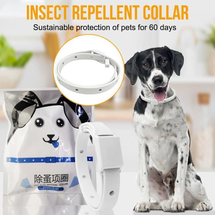 Nouveau collier anti-puces pour chien Anti moustique Anti poux 