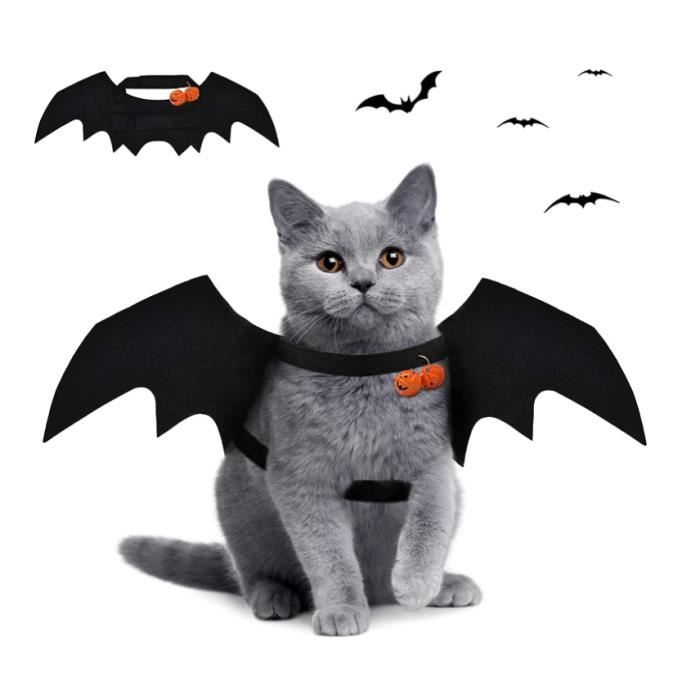 Costume D'araignée Pour Chien Ou Chat - Halloween Et Cosplay - Taille Réglable Avec 8 Pattes En Fourrure