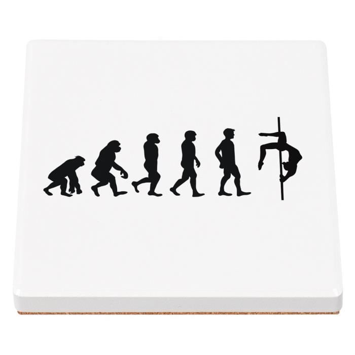 Evolution Pole Dance - Le Pole HUB