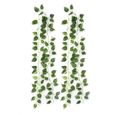 Guirlande de lierre vigne artificielle - 2x 170cm - Décoration feuille plante verte-1