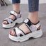 oiseaux Mesdames 3-8 Haut femme toile compensées plateforme pleine COUR BOUTS CHAUSSURES COEURS