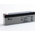 Batterie plomb AGM YUCEL Y2.1-12 12V 2.1Ah F4.8-Yucel-0