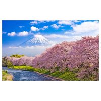 Affiche paysage mont fuji - 60x40cm - made in France
