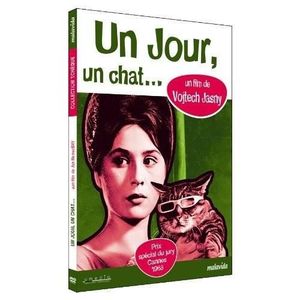 Dvd Le Chat Cdiscount