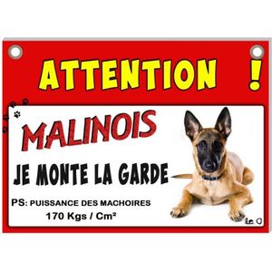 Plaque Chien Malinois Cdiscount Plaque Chien Malinois Cdiscount