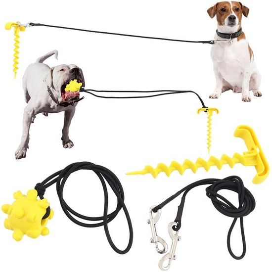 Câble et piquet d'attache pour chien, laisse et piquet pour chien