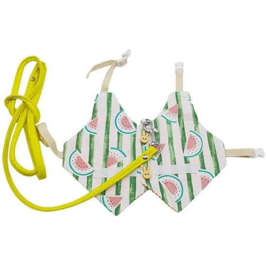 Harnais Pour Hamster - Laisse Pour Lapin Et Furet - Harnais