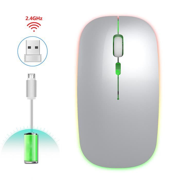 HXSJ Souris sans Fil Rechargeable pour Windows-XP-Vista-Me 2.4G Lumière Colorée Fourniture de Bureau M40(Argent )-GUA