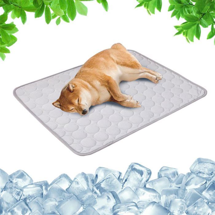 Tapis rafraîchissant pour animaux de compagnie - PZCC - XS - Refroidissant - Étanche - Facile à nettoyer
