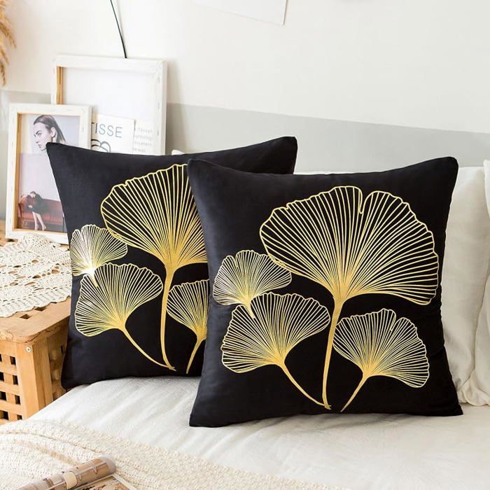 Lot de 2 Housse de Coussin Canapé 50x50cm Housse Coussin Noir La grâce Luxueux Velours Housses de 50 x 50 cm (Lot HOUSSE DE COUSSIN