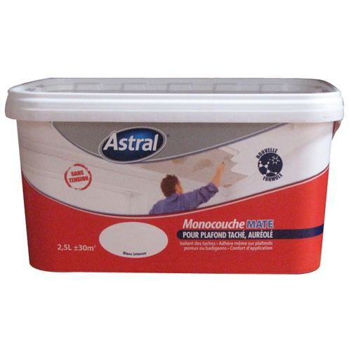 Peinture Plafond Tache Ou Aureole Monocouch Achat Vente Peinture Vernis Peinture Plafond Tache Ou Cdiscount