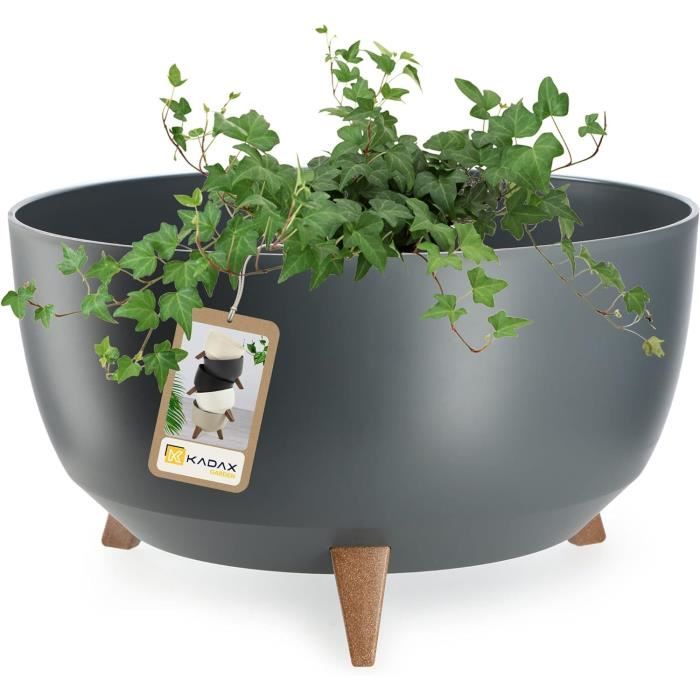 LIWI-TYMAR Pots De Fleurs Pour Orchidu00e9e, Lot De 2, En Plastique, La Transparent, STOOKPS001