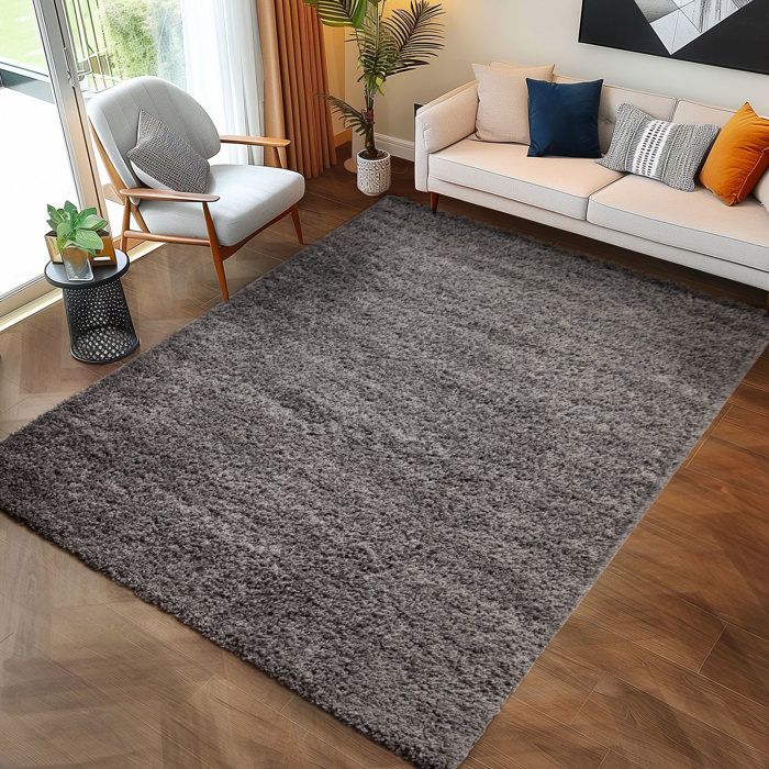 Tapis Salon Gris