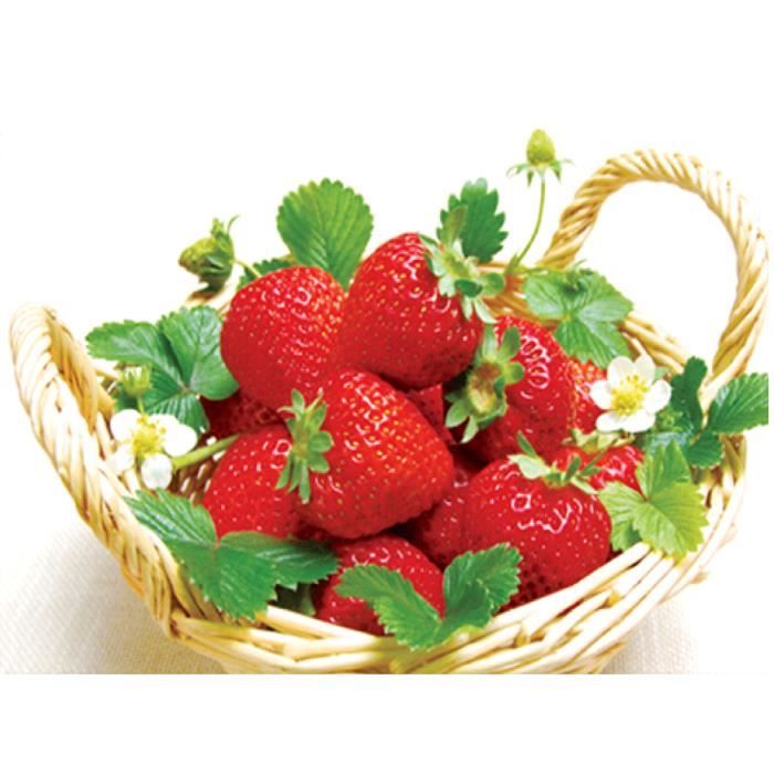 Un Panier De Fraises 5d Bricolage Diamant Peinture Point De Croix Broderie En Strass Mosaique Cube Fruit Peinture Serie Cdiscount Bricolage