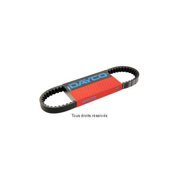 DAYCO - Courroie Hyper Renforcée DAYCO 743 x 18.8