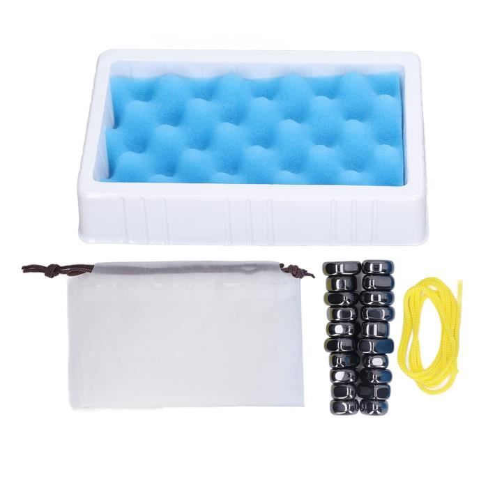 Jeu Attrape-abeilles Magnétique Pour Enfants - Famille, éducatif, Coordination œil-main, Transportable