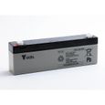 Batterie plomb AGM YUCEL Y2.1-12 12V 2.1Ah F4.8-Yucel-1