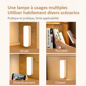 Lampe De Porte Infrarouge Avec Détecteur De Mouvement, 4 LED, Fixation