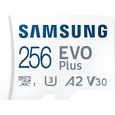 Carte Mémoire SAMSUNG 256Go MicroSD EVO PLUS-0