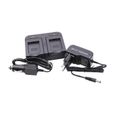 vhbw Chargeur double compatible avec Fujifilm T200, T205, T210, T300, T305 caméra caméscope action-cam - Station + câble de voiture,-0