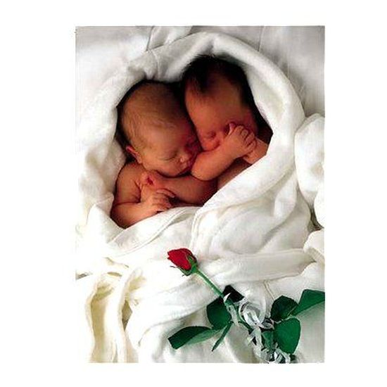Puzzle 1000 Pieces Anne Geddes Achat Vente Puzzle Soldes Cdiscount Puzzle 1000 Pieces Anne Geddes Achat Vente Puzzle Soldes Cdiscount