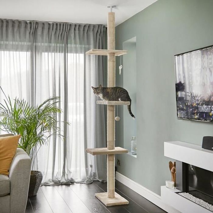 Arbre à chat haut, du sol au plafond