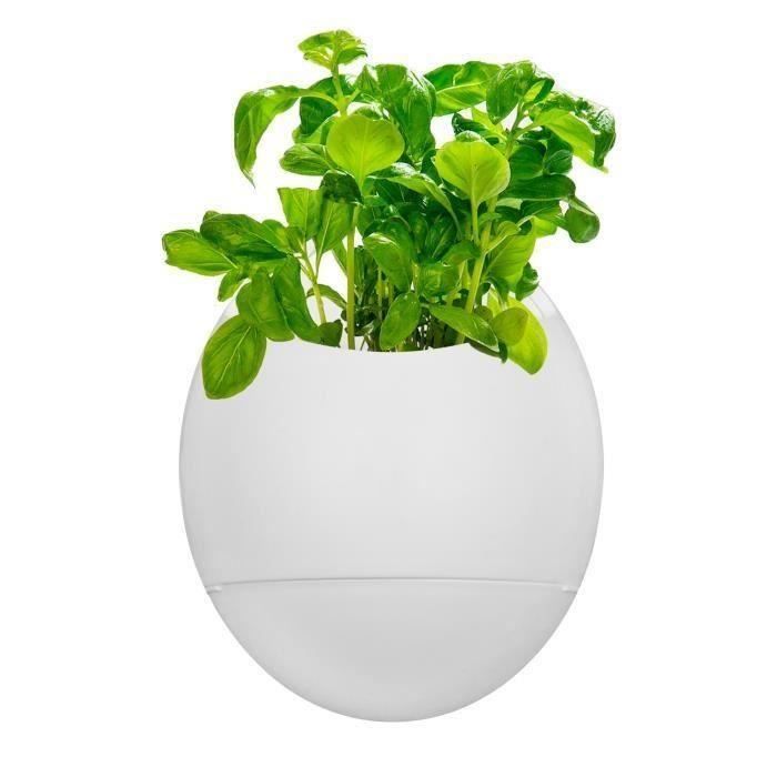 THUMBSUP! Eco-pod 2 pots mural - Auto arrosage
