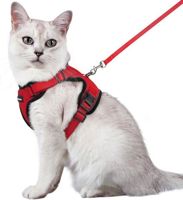 Comparer les prix de Harnais Chat Anti évasion avec Laisse Rouge M Harnais Chaton Petit Chien Réglable Collier Harnais et Laisses pour Lapin Chat Chiot