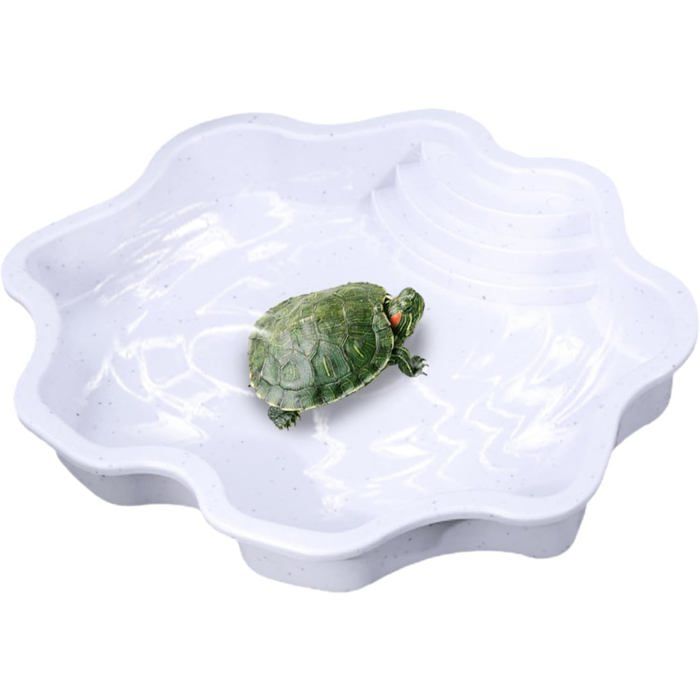 Bol deau pour reptiles – Piscine pour tortues en PP 30 x 30 x 5 5 cm conception en forme de berge de rivière plat pour animaux