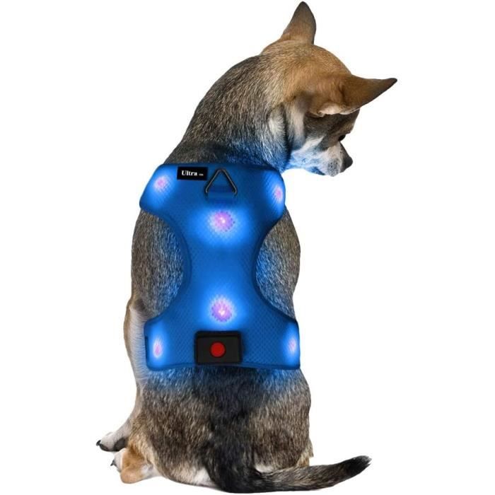 EINFEBEN LED Harnais pour chien harnais de chat harnais de poitrail harnais  de chiot réglable USB