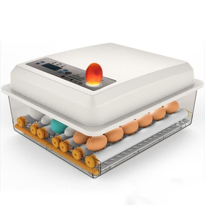 Mini Incubateur Œufs 6 Places Entièrement Automatique 2024 - Couveuse Silencieuse Pour Poules, Cailles, Oiseaux