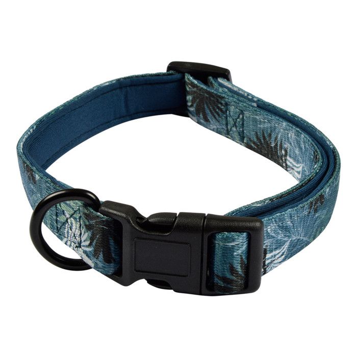 Meilleurs prix pour Collier pour Chien Réglable Eden 30-45cm Bleu