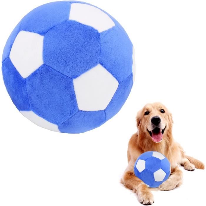 https://www.cdiscount.com/pdt2/1/6/6/1/700x700/sss5087481369166/rw/piang-gouer-jouet-interactif-pour-chien-ballon-d.jpg