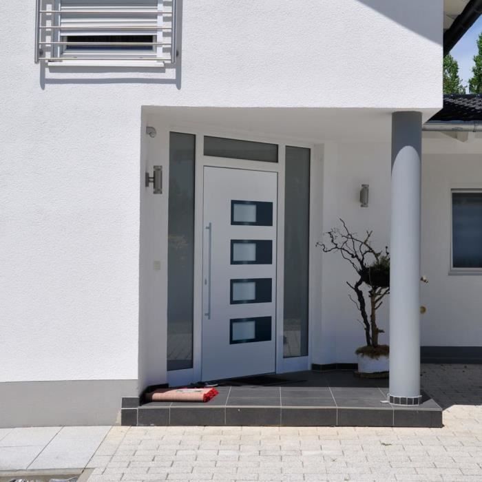 vidaXL Porte dentrée 100x210 cm