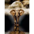 Puzzle - CLEMENTONI - The Elephant - 1000 pièces - Animaux - Pour enfants dès 12 ans-1