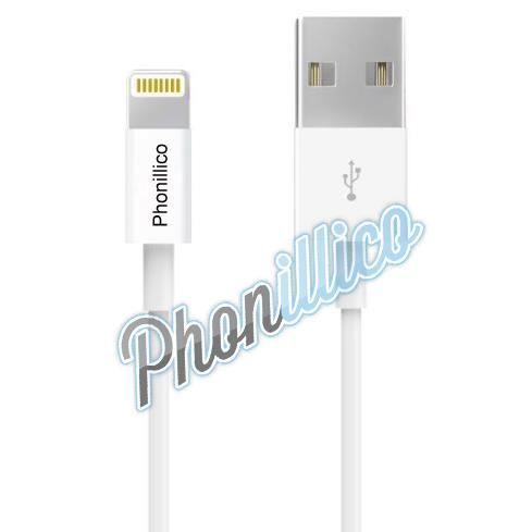 [Compatible iPad 1 - 2 - 3] Cable 1M + Chargeur Secteur Blanc [Phonillico®]