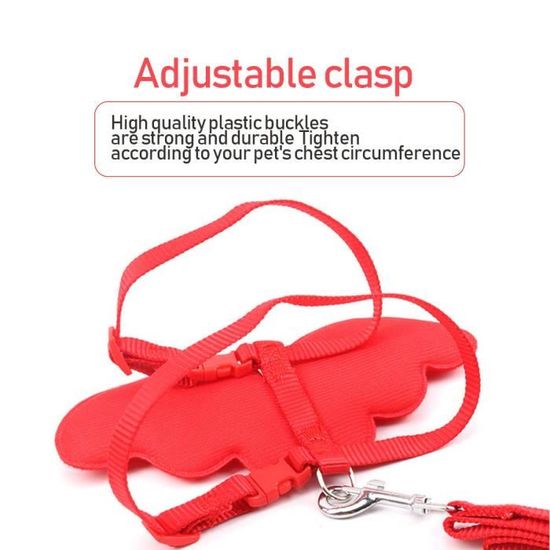 Icecode Laisse Pour Chat Laisse Avec Ailes D Ange En Nylon Reglable Harnais Ideal Pour Chaton Rouge Achat Vente Harnais Animal Icecode Laisse Pour Chat 5452 Cdiscount Icecode Laisse Pour Chat Laisse Avec Ailes D Ange En Nylon Reglable Harnais Ideal Pour Chaton Rouge Achat Vente Harnais Animal Icecode Laisse Pour Chat 5452 Cdiscount
