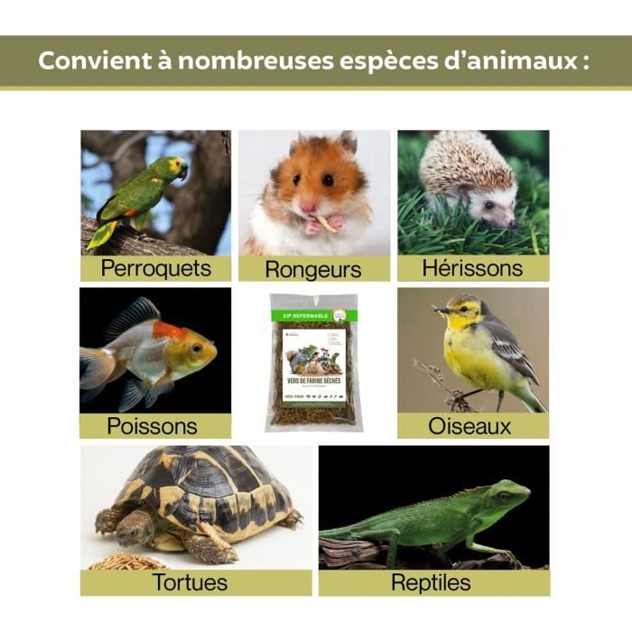 vers de Farine séchés- Nourriture pour Poissons, Oiseaux, Tortues,  Hérissons, Rongeurs et Reptiles : : Animalerie